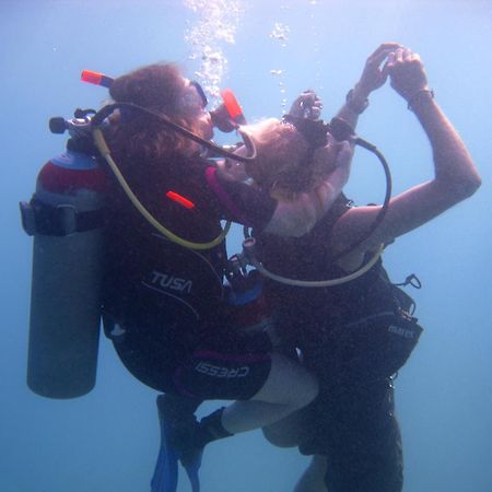 Oonas Dive Club Ξενοδοχείο Σαρμ Ελ Σέιχ Εξωτερικό φωτογραφία