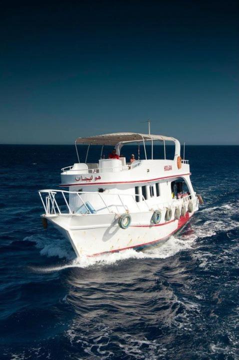 Oonas Dive Club Ξενοδοχείο Σαρμ Ελ Σέιχ Εξωτερικό φωτογραφία