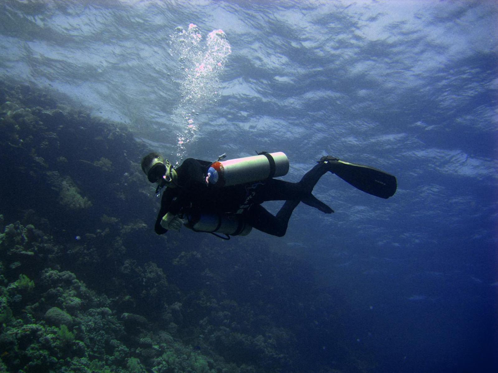 Oonas Dive Club Ξενοδοχείο Σαρμ Ελ Σέιχ Εξωτερικό φωτογραφία